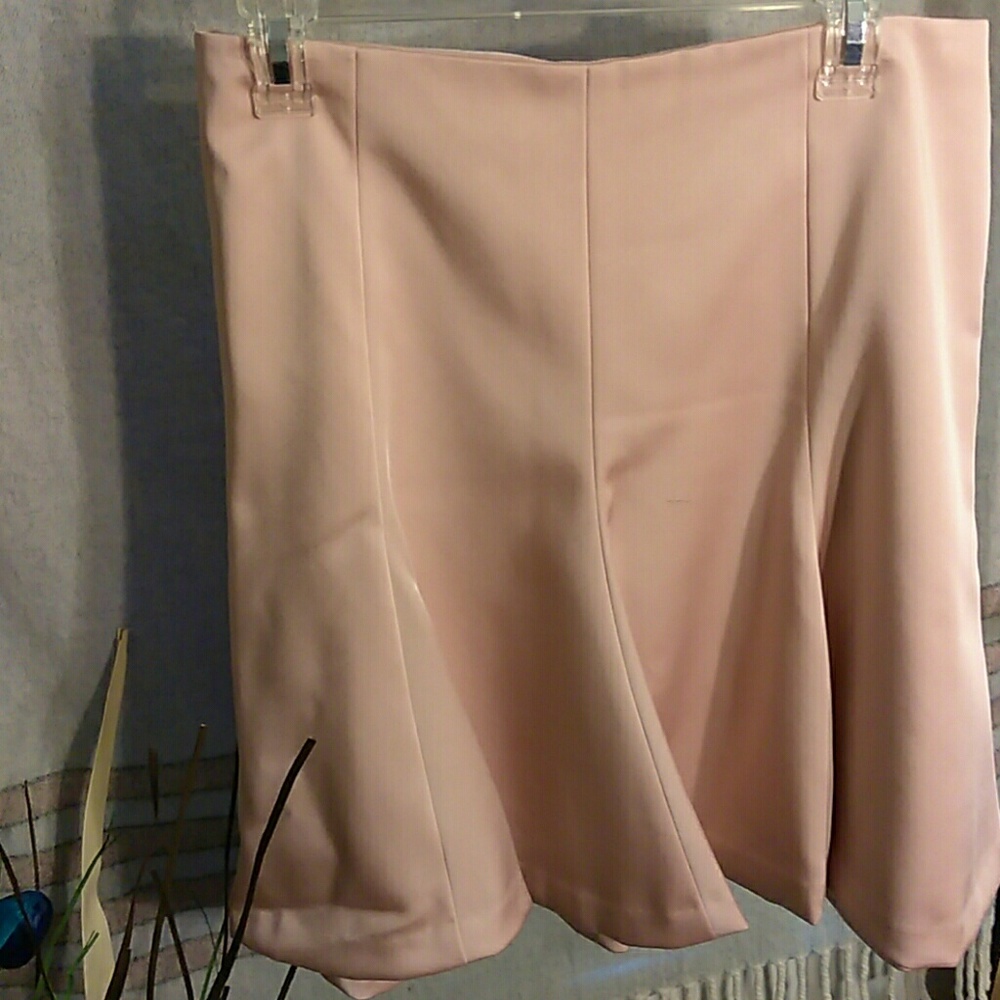 Women's Ann Taylor Skirt - Picture 2 of 3